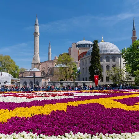 Tulip & 4* Стамбул
