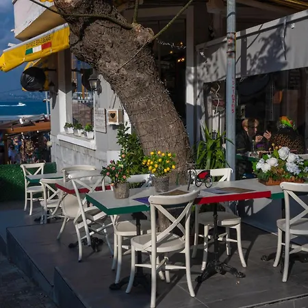 Tulip & Hotel Istanboel